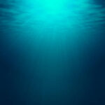 Profile photo of Mooring Master